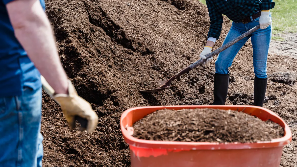 Workers shoveling mulch into a wheelbarrow