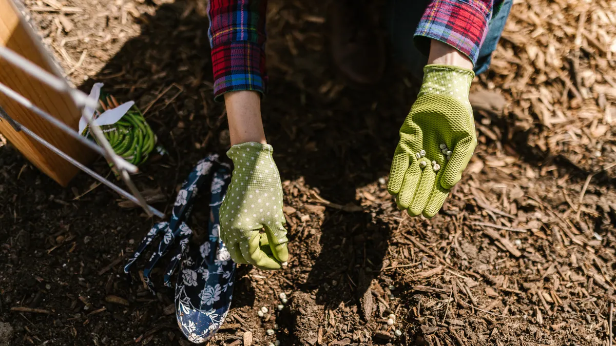 How to Mulch Around Existing Perennials Without Smothering New Growth