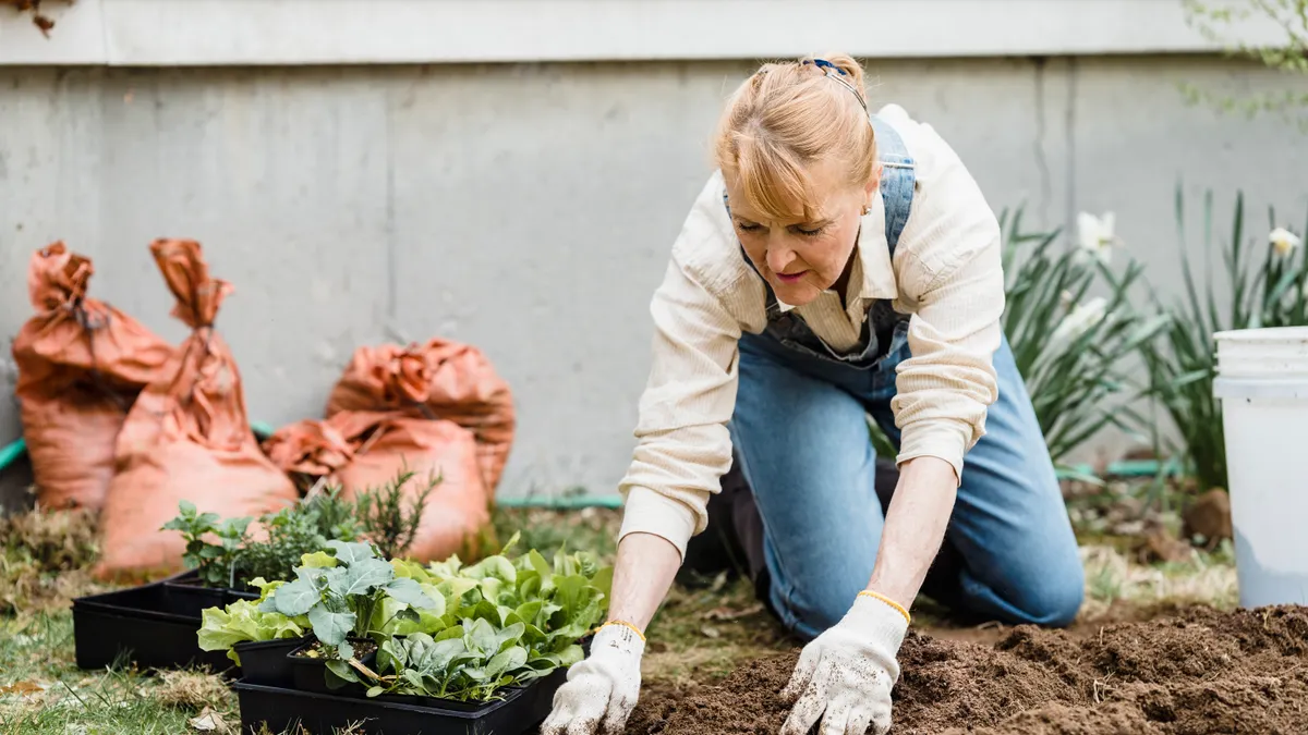 How to Mulch Around Shrubs Without Burying the Crown Person spreading mulch in a garden bed by a plant
