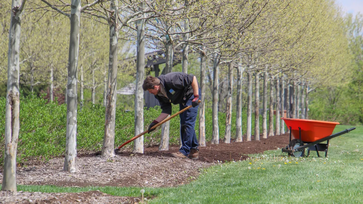 How to Mulch Around Shrubs Without Burying the Crown Man raking mulch around young trees