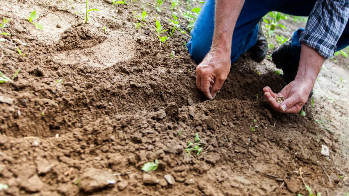 How to Remove Old Mulch Before Replanting a Bed