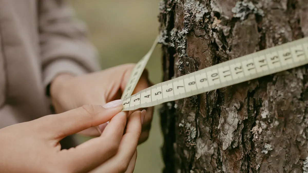 Mulch Conversion Guide: Inches to Cubic Feet, Cubic Yards, and Bags Hands measuring a tree trunk with a tape measure