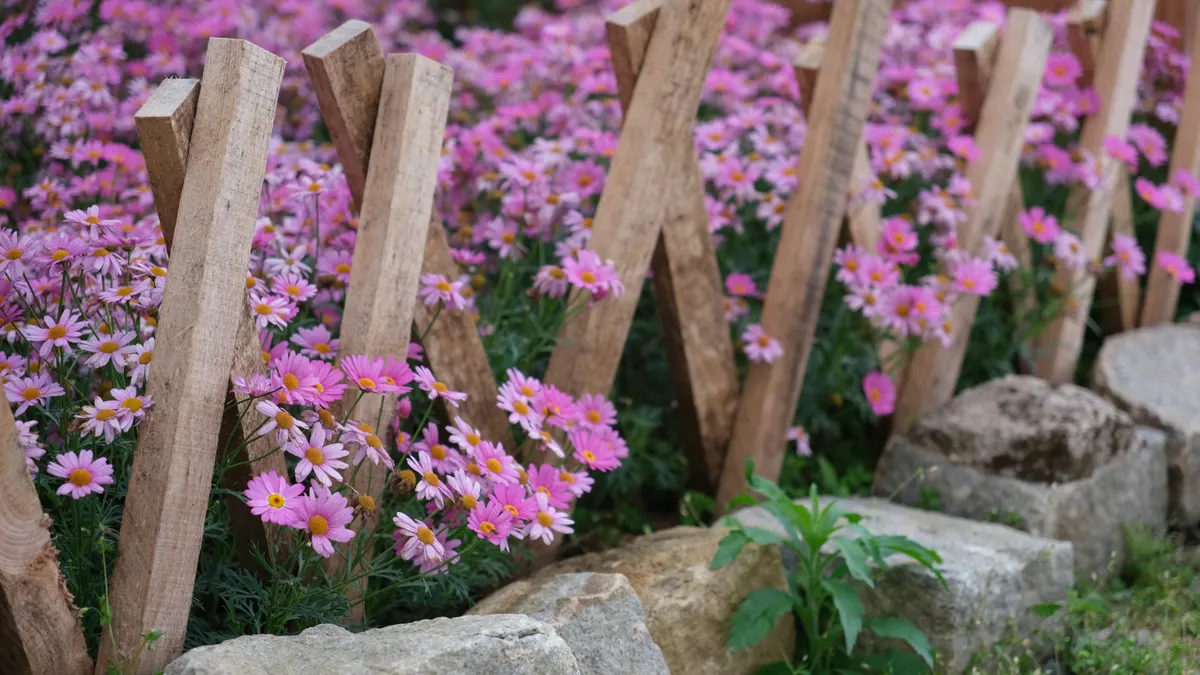 Flower bed bordered by wooden stakes and rocks