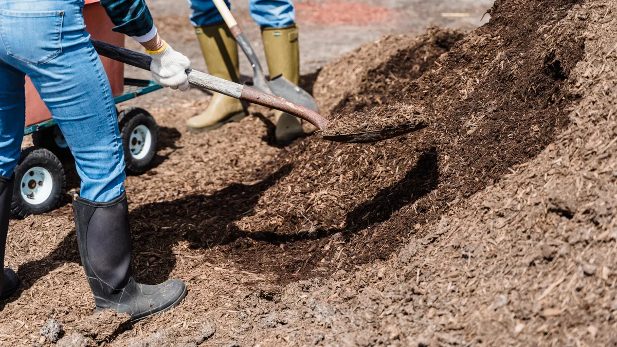 people spreading mulch with shovels